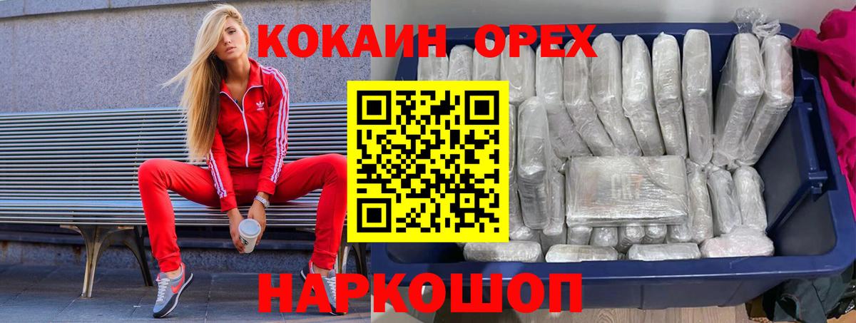 Галлюциногенные грибы Шуя
