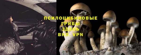 спайс Пестово
