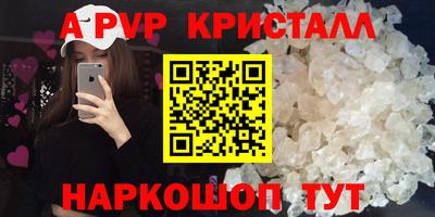 ECSTASY Камышлов