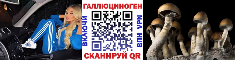darknet состав  Шуя  Галлюциногенные грибы GOLDEN TEACHER 